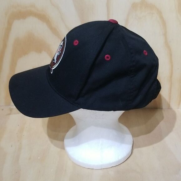 Florida State Seminoles Team Snapbaback hat. Unisex - Picture 2 of 7